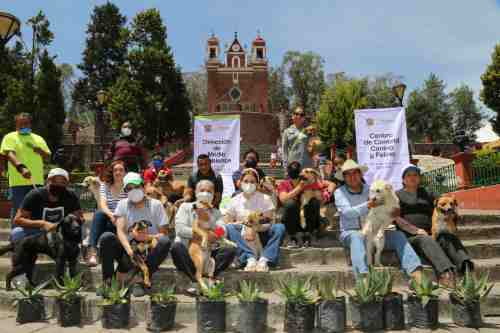 En la administración de Fernando Flores Fernández; Metepec se volvió Pet Friendly